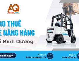 Dịch vụ cho thuê xe nâng hàng giá rẻ tại Bình Dương
