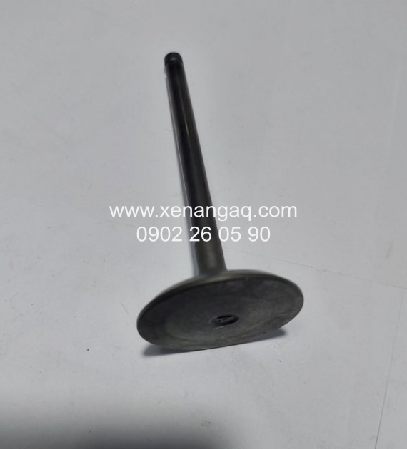 13201-1W400 Xupap nạp QD32