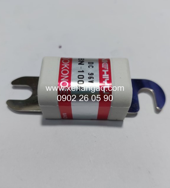 1995-32010 Cầu chì 100A